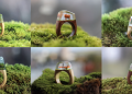 Maru love rings
