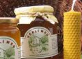 Včelia farma na Mašekovom mlyne