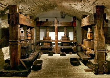 Malokarpatské múzeum v Pezinku