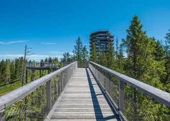Objavte Tatry z korún stromov