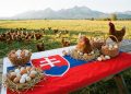 Nová éra v gastronómii: Bezklietkové vajcia ako štandard od roku 2026